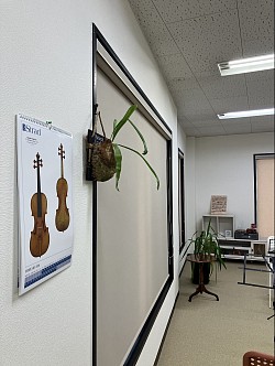 クエルダスヴァイオリン教室